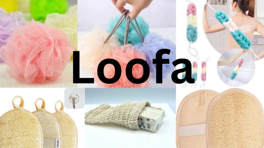 Loofa