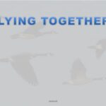 flyingtogether