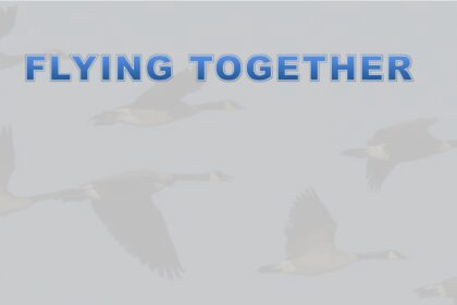 flyingtogether