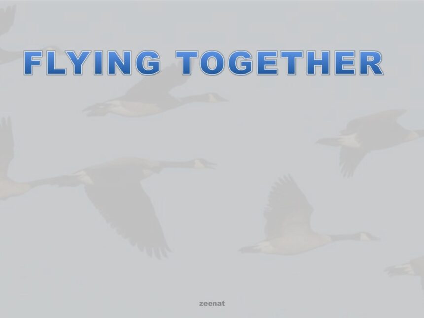 flyingtogether